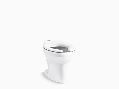 Kohler 96053-0 Wellcomme flushometer bowl, White - image 1