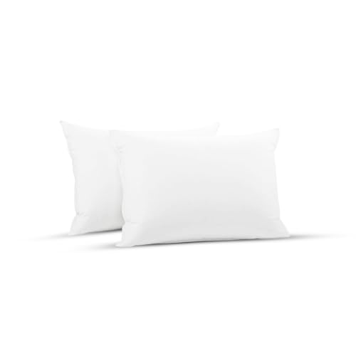 SleepyNights 2 Pack Standard Bed Pillows – Soft-Medium, Lightweight & Budget-Friendly Pillows for Sleeping – Fluffy Polyester Fill
