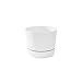 Root & Vessel Majestic Mid-Century Modern Low Profile Cylinder Pot, Matte White, 6.5"