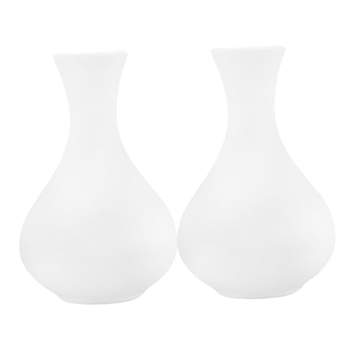 CIYODO 2 Piezas Jarrones de Cerámica para Pintar Kit de Manualidades para Adultos y de Decoración Creativa para Habilidades Artísticas y Fomentar Familiar