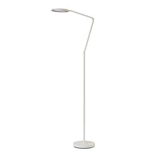 Lámpara de pie LED regulable, luz de pie con cuello de cisne para salón y estudio