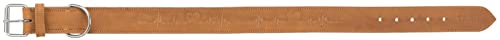 TRIXIE Rustic Fettleder-Halsband - Größe M - Halsumfang 38 - 47 cm - kehlkopfschonender D-Ring - braun - 19015