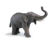 Schleich Indian Elephant Male 14144