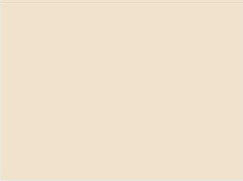 AR Latest Flat Bedsheet Plain Dyed Polycotton Smooth Fabric (Single, Cream)