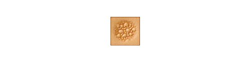 Tandy Craftool Pebble Matting Stamp - Advanced Leather Texture Control - Background Stamping Tool for Belts, Wallets, and Handbags - Clean Pebble Finish for Carving Depth - Standard Size
