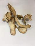Buddha's hand / Finger Citron｜Fo Shou｜佛手｜Citrus medica L. var. sarcodactylis Swingle