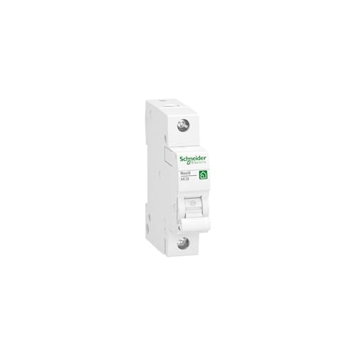 Disjoncteur 32 A 230 V Schneider Electric R9F24132 protection phase neutre tableau