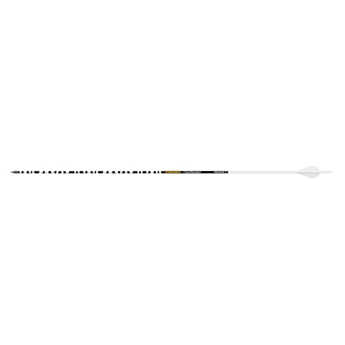 Flèches Gold Tip Ted Nugent Convaincus 300 pour éviter la casse - 4