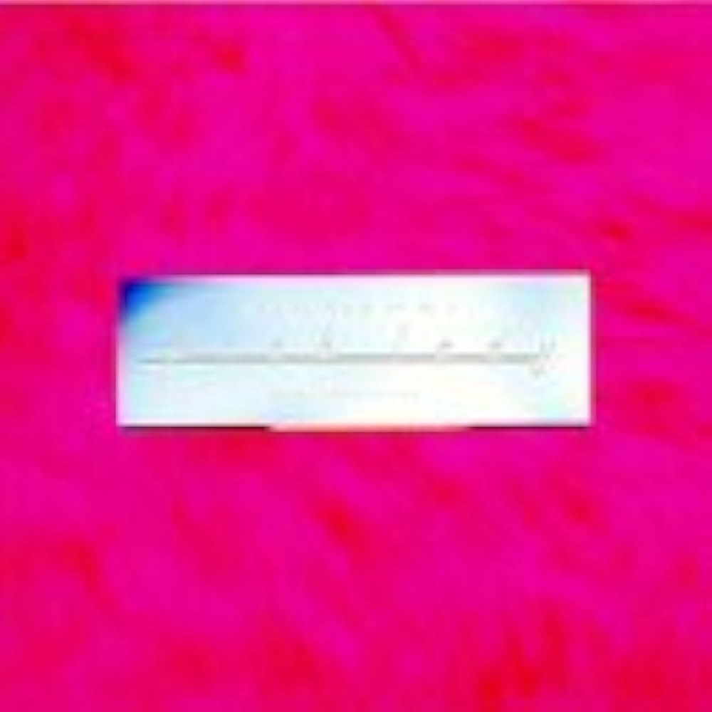 ※非売品「COOKIE」ピンクレディー（mie & kei) 非売品「COOKIE」ピンクレディー（mie & kei) Amazon.co.jp