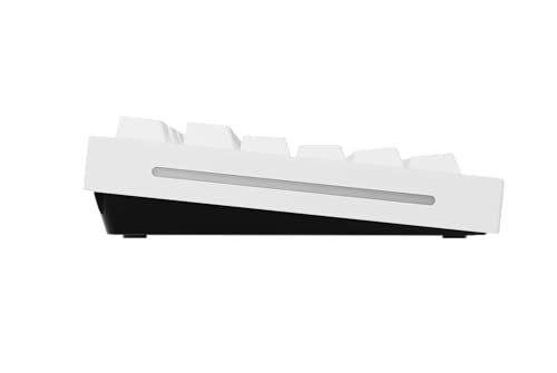 Capuchons de touches GPBT Glorious Gaming profil Cherry PBT Arctic White US