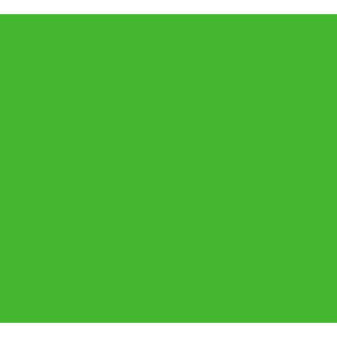 A4 Coloured Paper Arts Craft Sheets Bright Pastel Neon Pearl Metallic Colours Laser & Inkjet Printers 10 Sheets (Bright Green 80gsm) Cover
