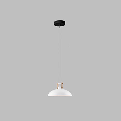 Lámpara colgante vintage de cúpula E27 con altura ajustable para techo 2