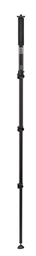 Benro Adventure 3 Series Aluminum Monopod (Mad38A) #TOP1