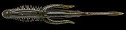 Nories Hulachat 10g HC14 Bone Gill