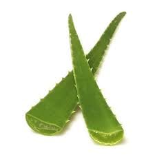 Fresh Aloe Vera Leaves Green Organic Aloe Vera Leaf 1kg (B0D6W5GQV7) Amazon Price History, Amazon Price Tracker