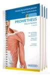 PROMETHEUS. Atlas de Anatomía.Fichas de autoevaluación: Colección 3 tomos: Aparato Locomotor, Órganos internos, Cabeza y Cuello.