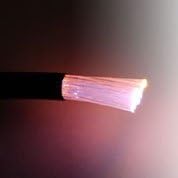 10' 25 Strand EndGlow Fiber Optic Lighting Cable