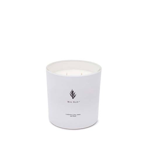 Archipelago Botanicals Big Sur Luxe Candle | California Cedar, Amber and Musk | Coconut Wax Blend and Double Wicks | Burns Approx. 100 Hours (13 oz)