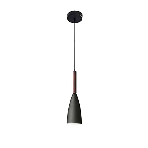 Lámpara colgante de 1 cabeza negra LWX con cable ajustable para techo