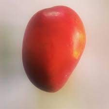 Exotica Orchids Ruby Mango Plant-Grafted (B08PZ9ZNZC) Amazon Price History, Amazon Price Tracker