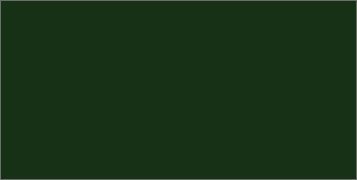 Wachsplatte dunkelgrün 20x10 cm - 9712 - Verzierwachsplatte 200x100 mm für Kerzen Cover