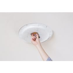 アイリスオーヤマ ECOHiLUX CEA-2312DL