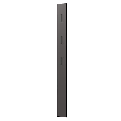 Lomadox Garderobenpaneel Wandgarderobe in grau mit ausklappbaren Metallhaken, B/H/T ca. 15/170/3 cm
