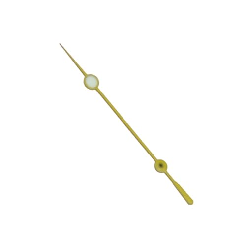 WVTVBYLKLP(���X) NH34 35 36�����������[�u�����g�A�O���[������13mm SKX007�j ��(Shiny Yellow)