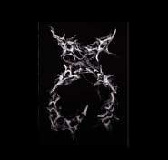 Generic XG AWE 2nd Mini Album (XG ver.)