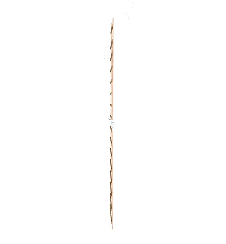 Hailo - Echelle Plate de Toit en Bois pour Couvreur 4m Hailo Safety Roof