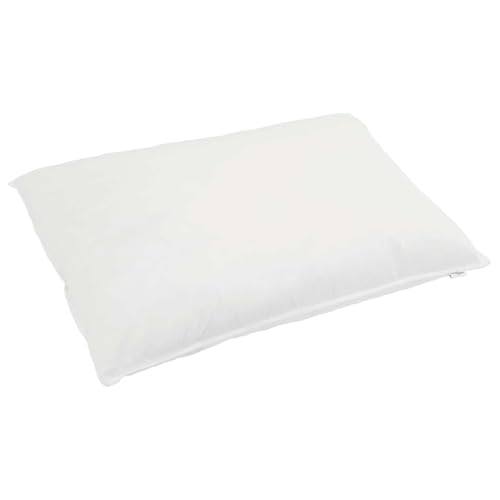 Ensemble de duvet 3 pcs blanc plume de canard 4.13kg