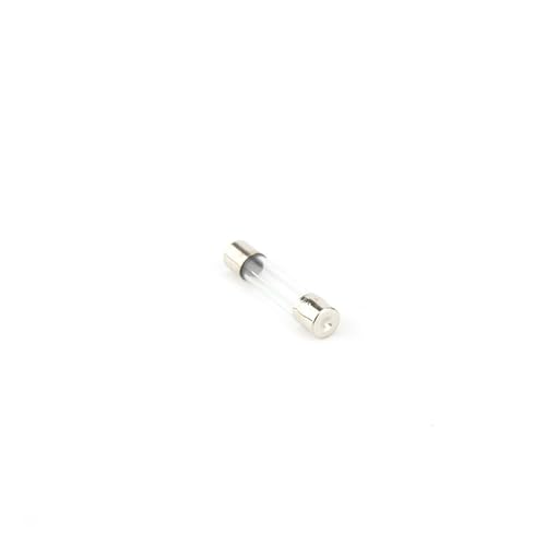 Kit de 10 fusibles de vidrio de acción rápida 5 x 20 mm 250V 0.1A - 30A variadas miniatura 5