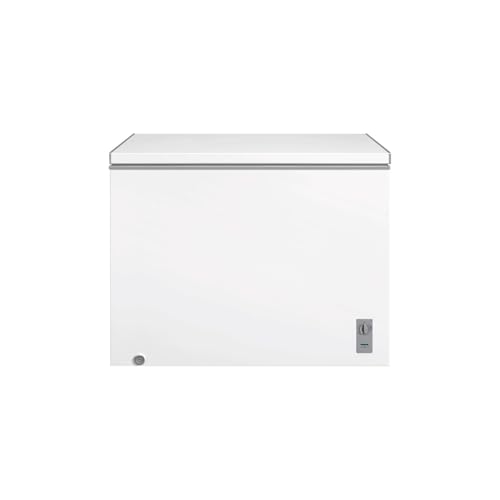 Wattage: 170.0 watts CONG ORIZZONTALE 251 E
