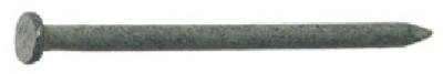 54188 12D Hot Galvanized Smooth Shank Common Nail