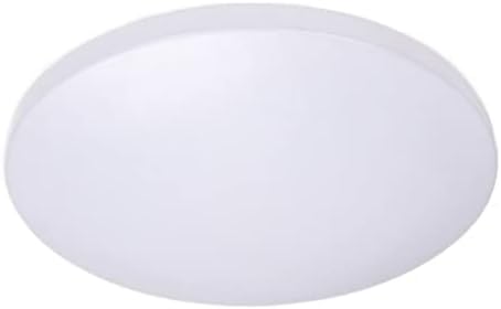 JUSTWEIXING Modern LED Ceiling Light Fixture Lamp Surface Mount Living Room Bedroom Bathroom Remote Control Home Kitchen RUOWH100 RUOWH150 (Body Color : 20cm, Emitting Color : Cold White)