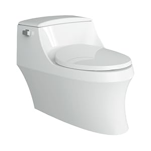 Ceramic San Raphael One-Piece Floor Mount Toilet For Bathroom, Class 5 Powerful Flushing Technology, Quiet Close Seat, Fully Glazed Commode, (White)
