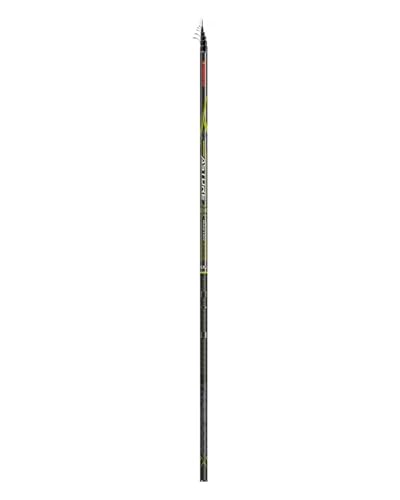 Canne à pêche Astore X Master BLS 120-49-170 pour vos week-ends au bord du lac