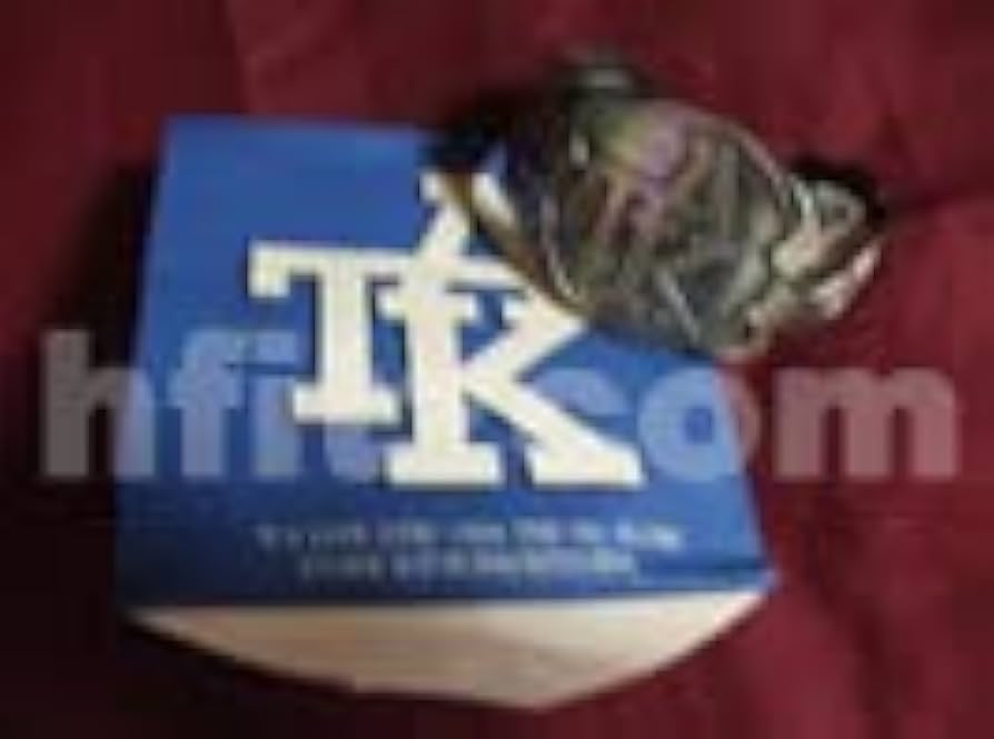 Amazon | 棚7 B'z LIVE-GYM1994 THE 9th BLUES 稲葉浩志KIミサンガと