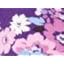Purple Garden