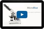 Microscopio Monocular Euromex MicroBlue 40-400x MB1001