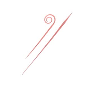 Daiwa Kouga Nakai Tune Silicone Necktie, Straight Slim, Nakai Orange