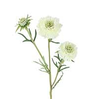 Gisela Graham White Artificial Scabiosa Flower Spray