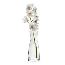 Bormioli Rocco Glass Vase 25.5 Cms 1 Pc, Ypsilon Caraffa Transparent Flower Vase Big Size for Home Decoration (Tall & Large Vase) 3