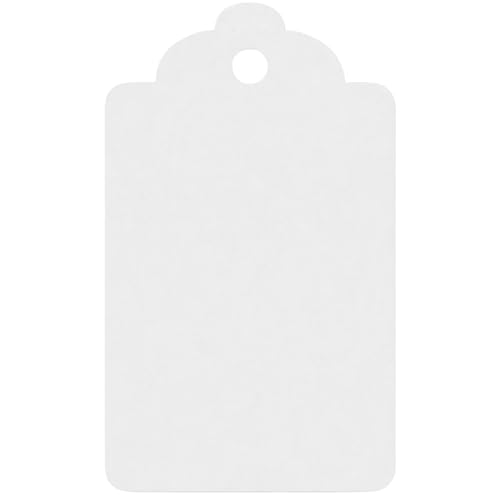Image of CVANU 300pcs Premium Color Tag Blank Hanging with Pre-Punched Hole Tags for DIY Crafts, Gift Wrapping, Labelling & Writable Decorative Tags for All Occasions (2.85in X 1.7in) Dusty Grey