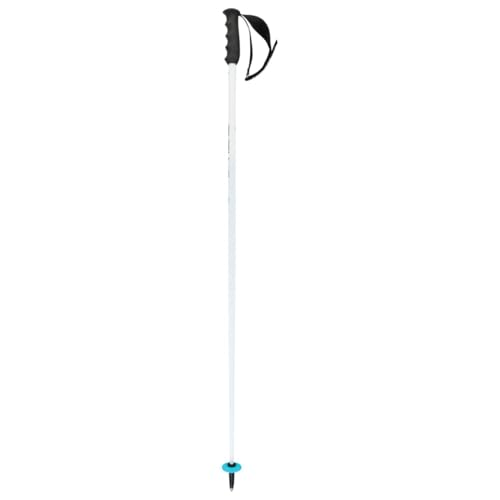 Mini piatto racing HEAD Worldcup SL, Bastoni da Sci Unisex Adulto, Bianco/Nero/Blu velocità, 135
