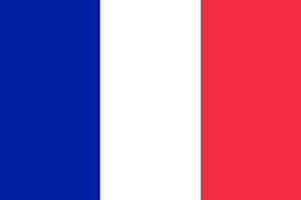Flag France cm. 90 x 150