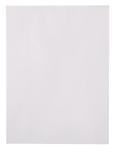 Amazon-Basics-Catalog-Mailing-Envelopes-Peel-Seal-9x12-Inch-100-Pack-White