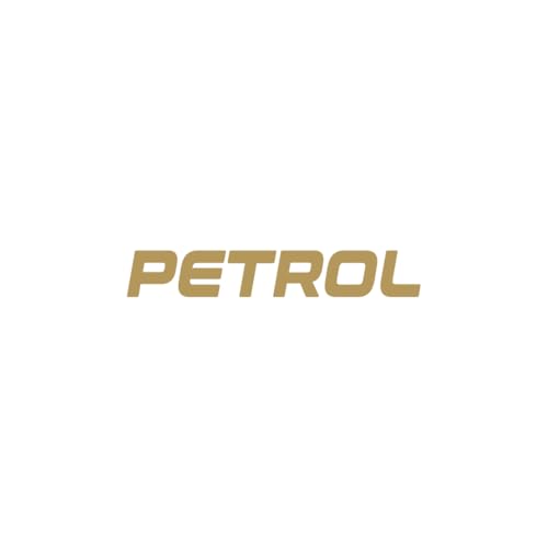 Zaqiz Petrol Sticker for Car Tank Cap, Scratch-Proof Vinyl (Gold)