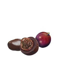 Raisins Secs Enrobés de Chocolat Noir - Raisins Moelleux et Chocolat de Qualité - Sac de 1kg