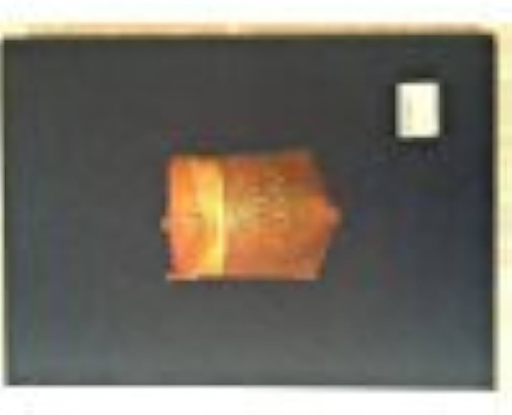 Amazon.com: Iban baskets: 9789839115031: Blehaut, Jean-Franc̲ois: 圖書